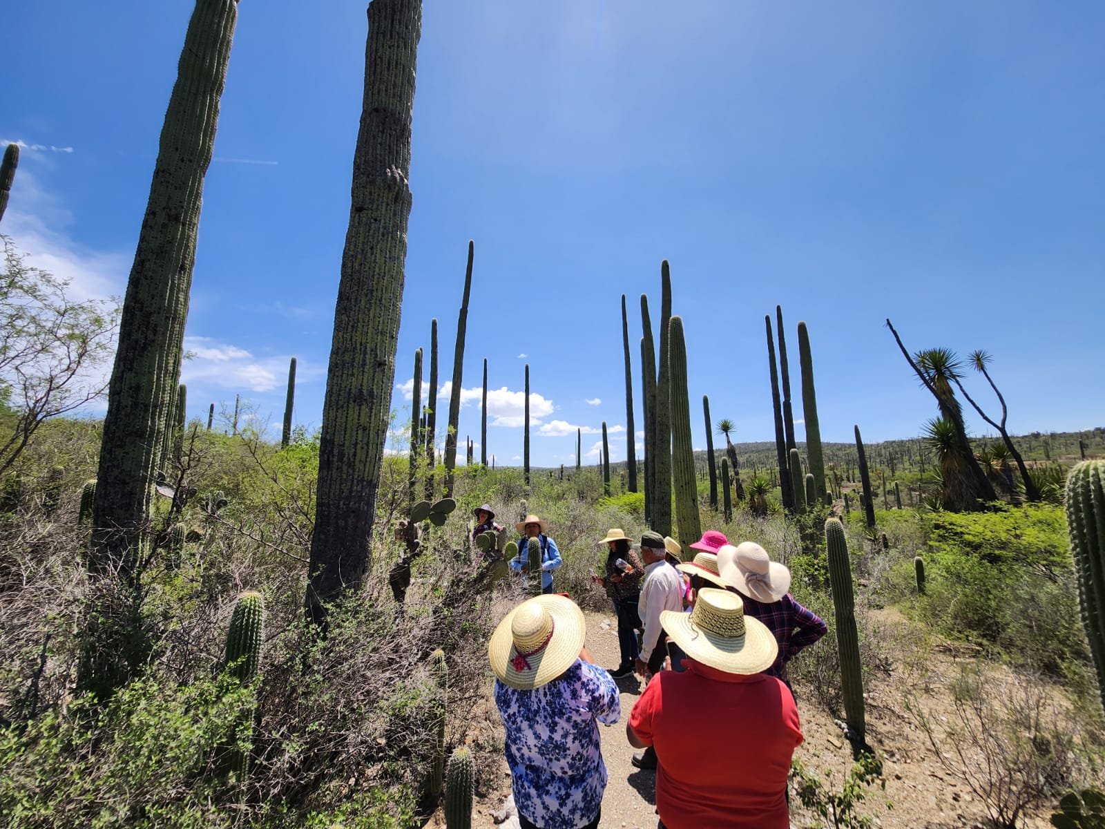 Parque Ecoturístico El Puma capacita a sus futuros microempresarios