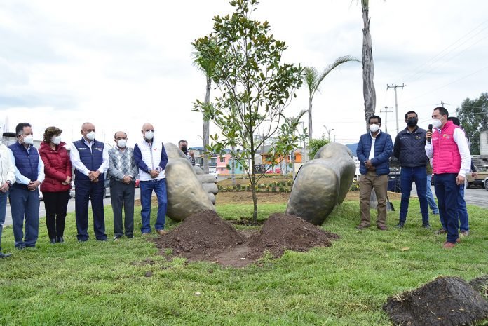 Reforestación Tulancingo