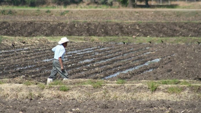 Agropecuarios