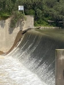 Presa