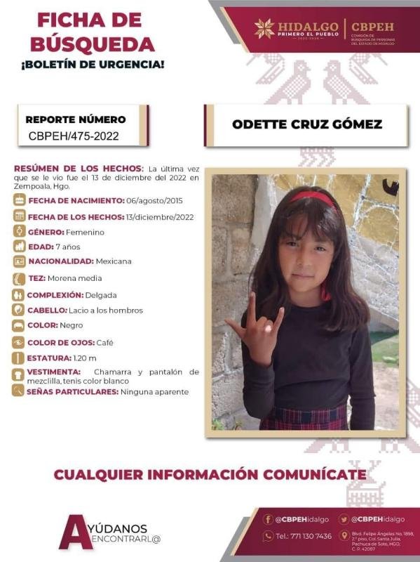 Ficha de busqueda