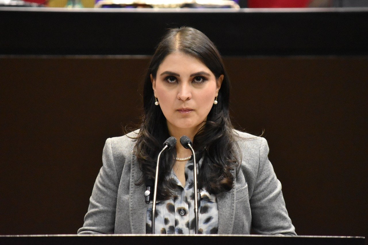 diputada de Movimiento Ciudadano Julieta Mejía Ibáñez