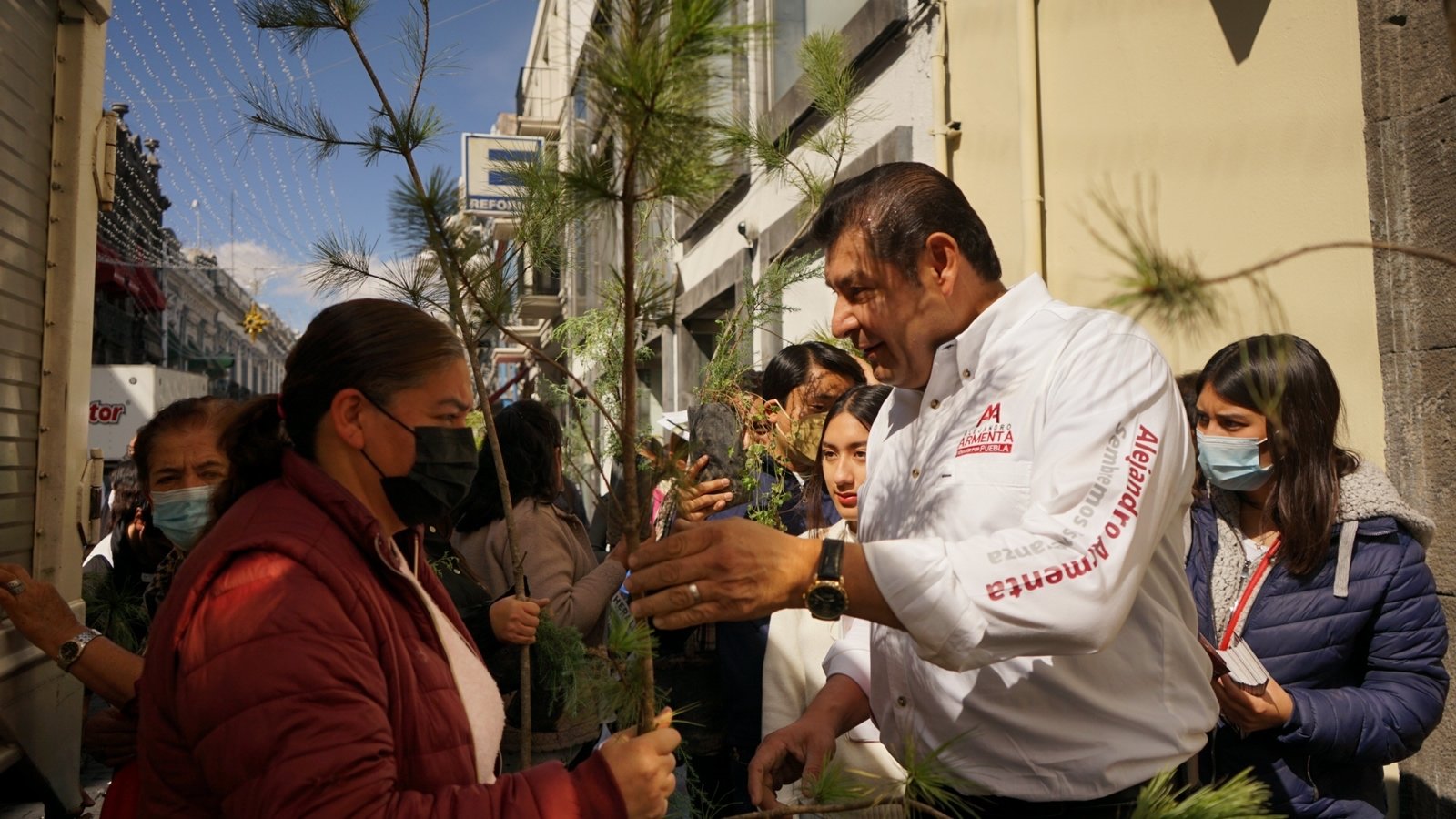 Alejandro Armenta Reforestación