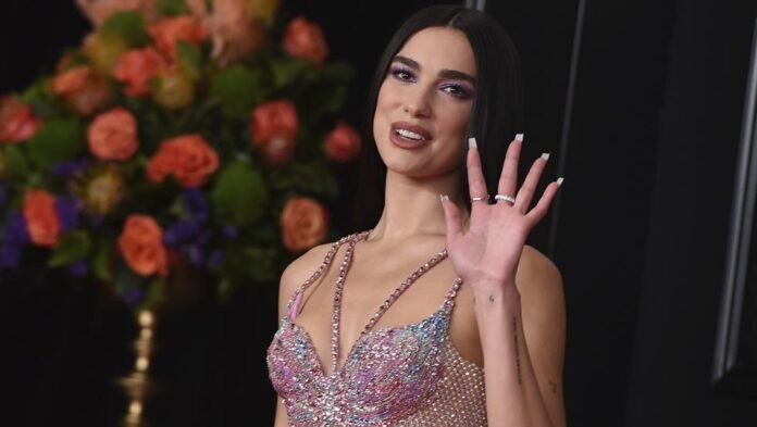 dua lipa rechaza tomarse foto con fan