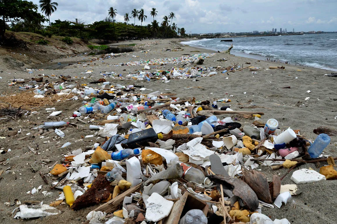 Cu Les Son Las Playas M S Contaminadas De M Xico