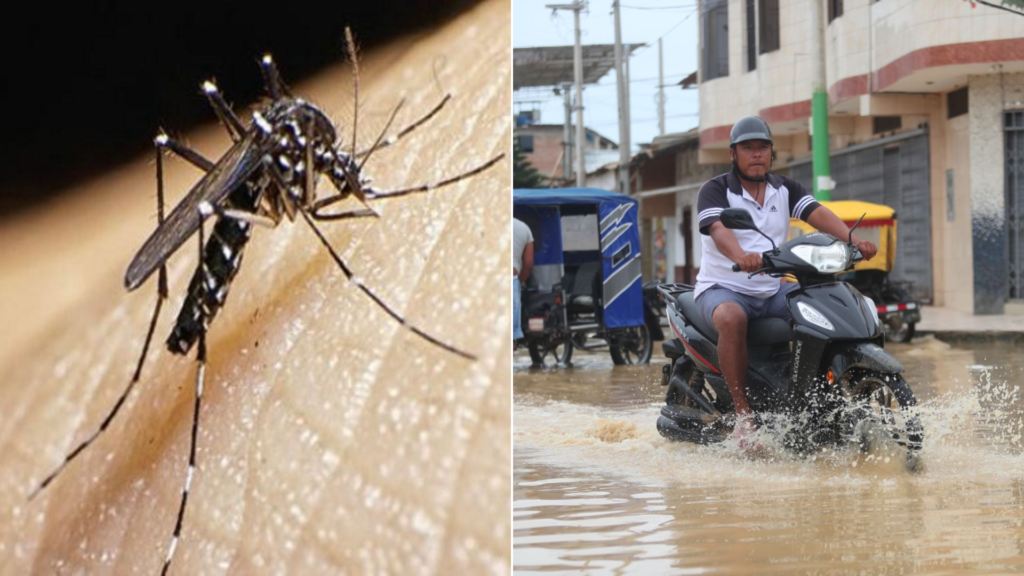 Muertes Por Dengue En México Aumentan En Medio De La Temporada De Huracanes